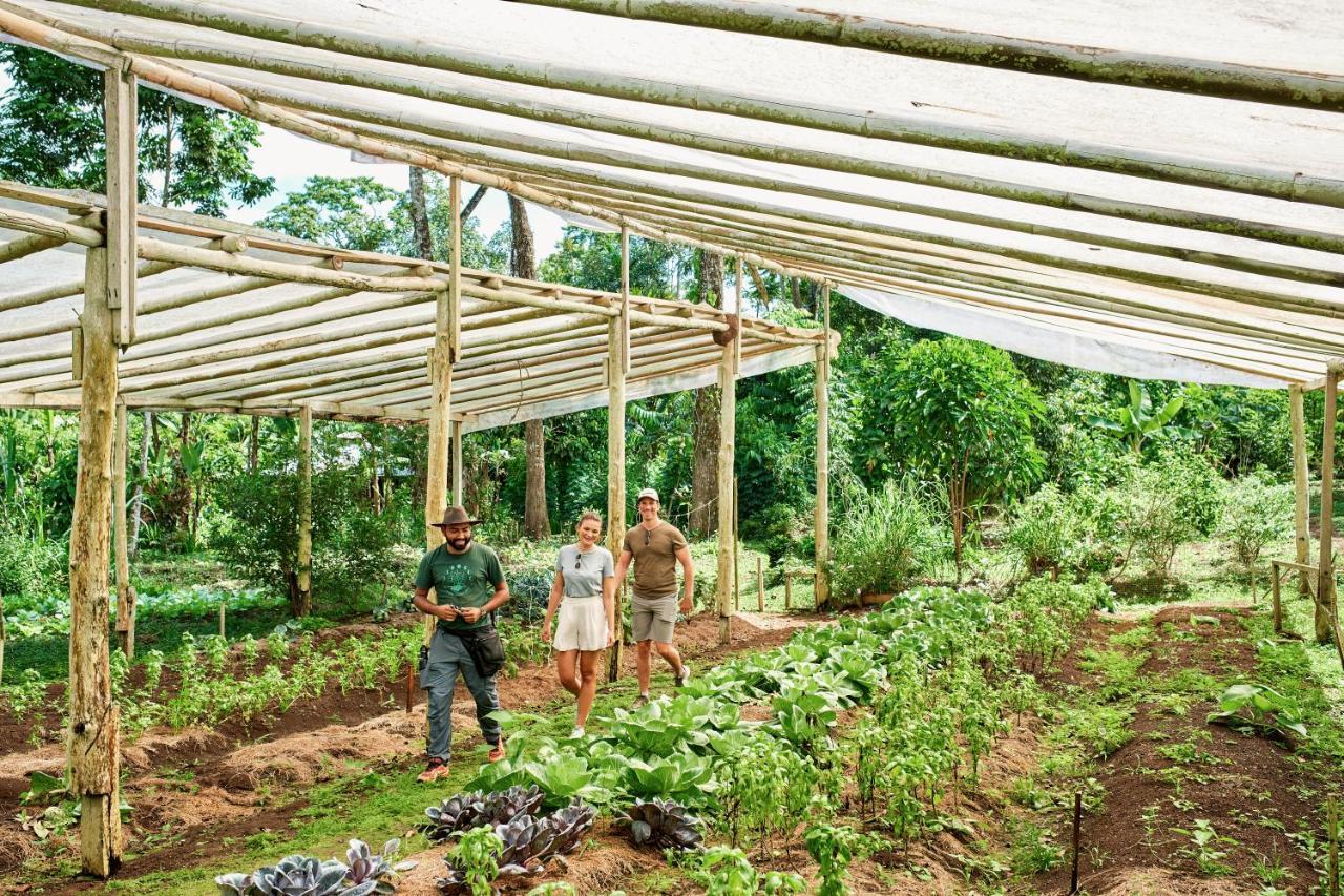 Finca Luna Nueva Lodge Ла Фортуна Экстерьер фото