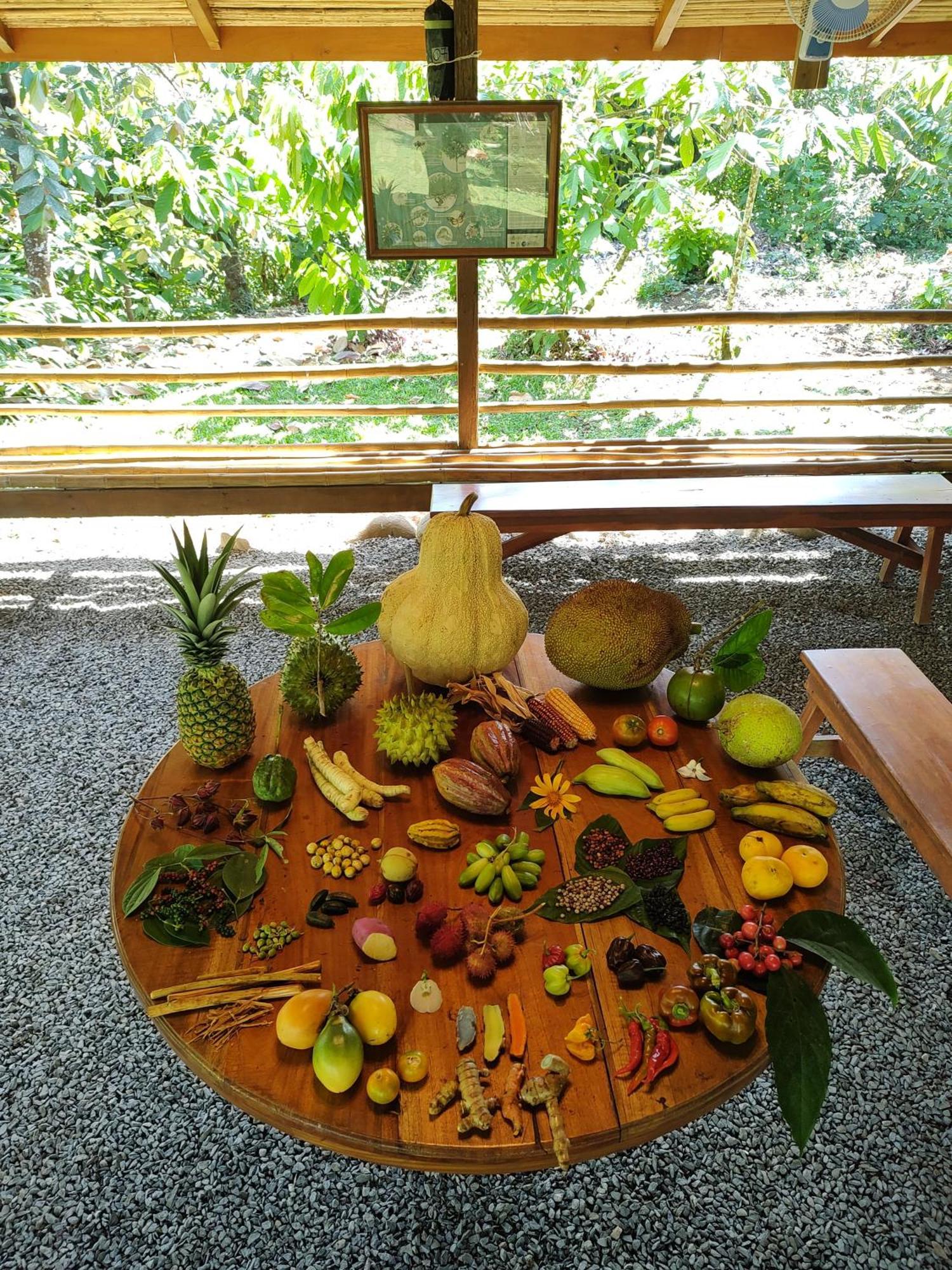 Finca Luna Nueva Lodge Ла Фортуна Экстерьер фото